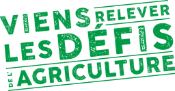 Quiz Foire de Chalons 2025